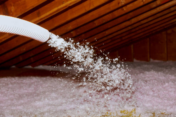 Types of Insulation We Offer in Selma, NC