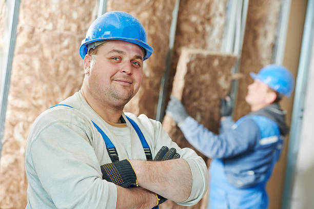 Best Residential Insulation in Selma, NC